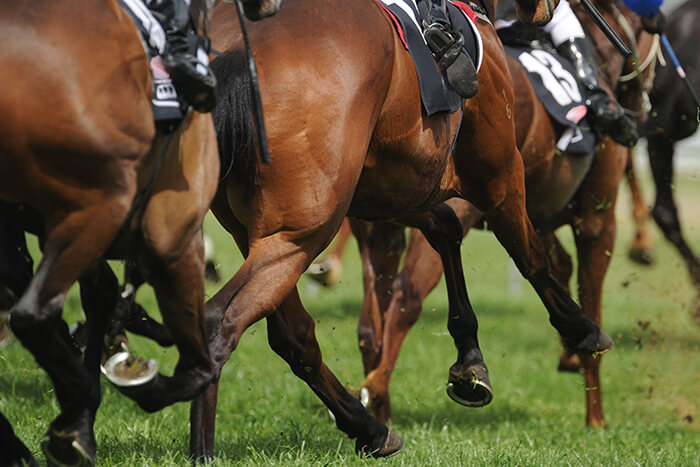 Horse Racing